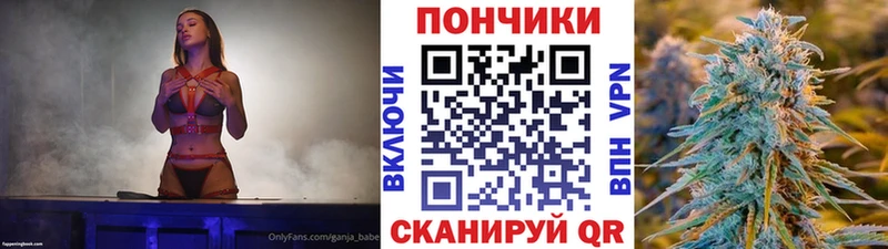 Каннабис ГИДРОПОН Пикалёво